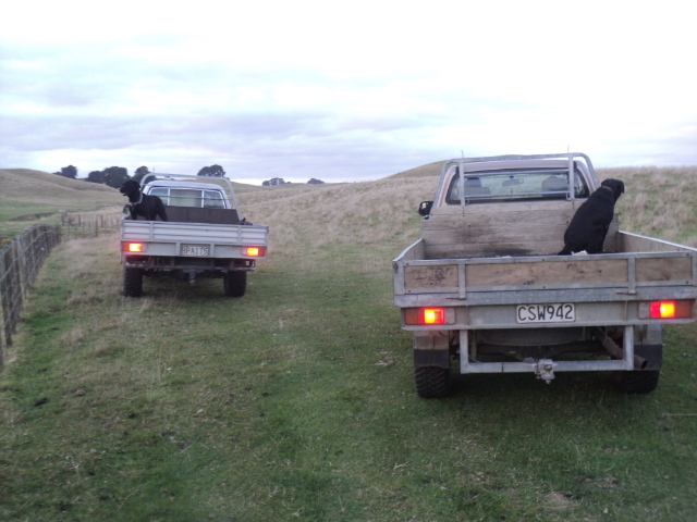 Name:  picture 01 3185.jpg
Views: 564
Size:  164.7 KB