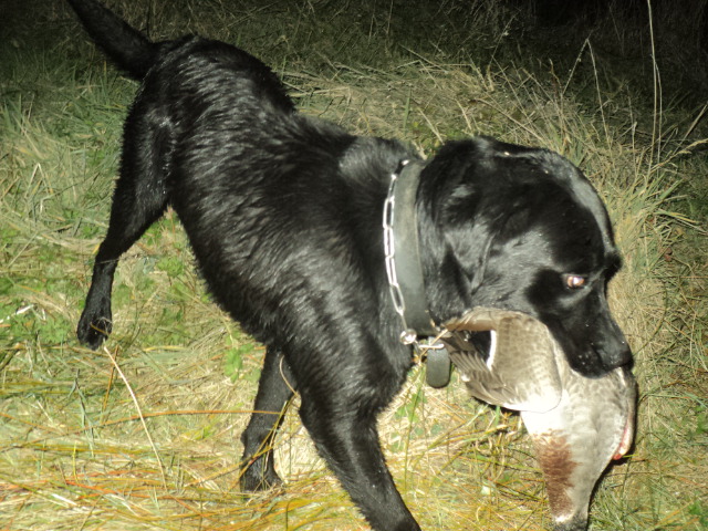 Name:  picture 01 3186.jpg
Views: 729
Size:  163.2 KB