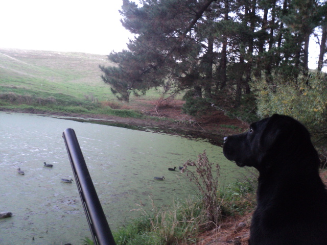 Name:  picture 01 3203.jpg
Views: 504
Size:  165.3 KB