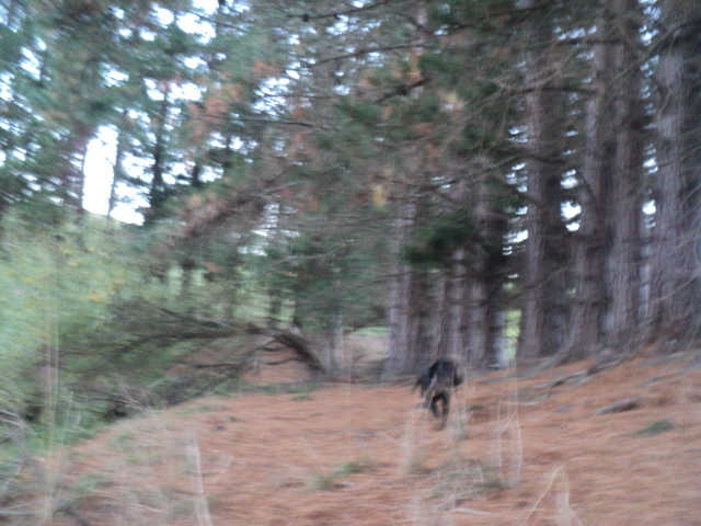 Name:  picture 01 3204.jpg
Views: 495
Size:  165.1 KB