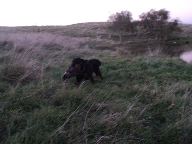 Name:  picture 01 3222.jpg
Views: 288
Size:  162.0 KB