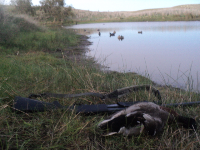 Name:  picture 01 3223.jpg
Views: 281
Size:  163.2 KB