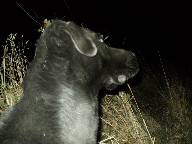 Name:  picture 01 3288.jpg
Views: 262
Size:  165.2 KB
