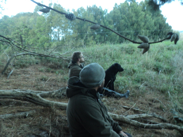 Name:  picture 01 3294.jpg
Views: 201
Size:  163.4 KB
