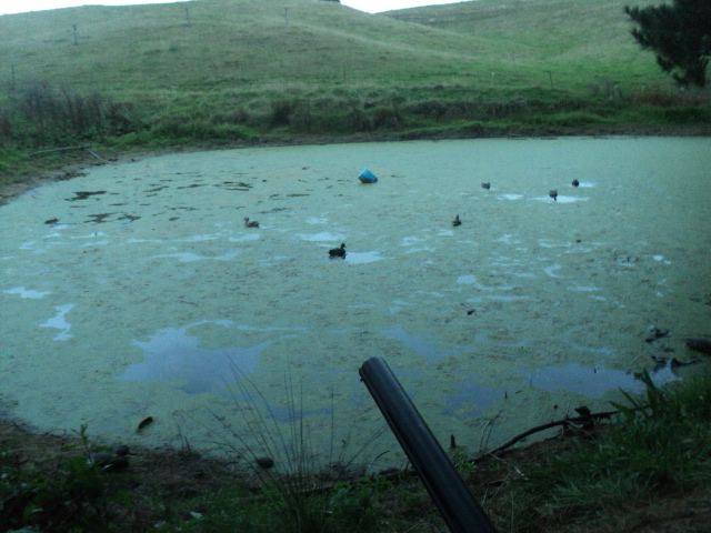 Name:  picture 01 3295.jpg
Views: 195
Size:  164.1 KB
