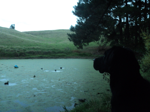 Name:  picture 01 3296.jpg
Views: 194
Size:  162.2 KB