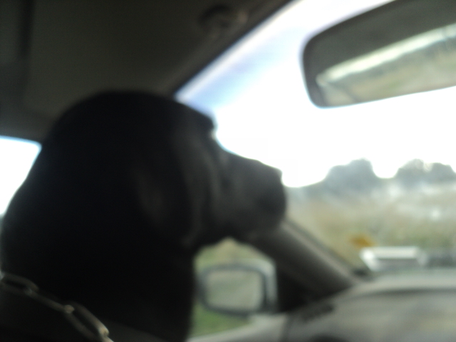 Name:  picture 01 3348.jpg
Views: 351
Size:  156.7 KB