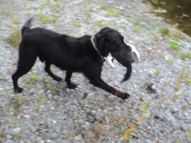Name:  picture 01 3346.jpg
Views: 333
Size:  165.2 KB