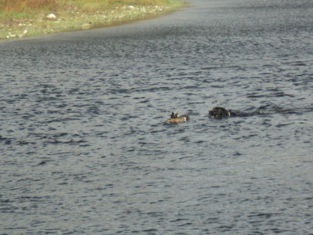 Name:  picture 01 3363.jpg
Views: 290
Size:  163.0 KB