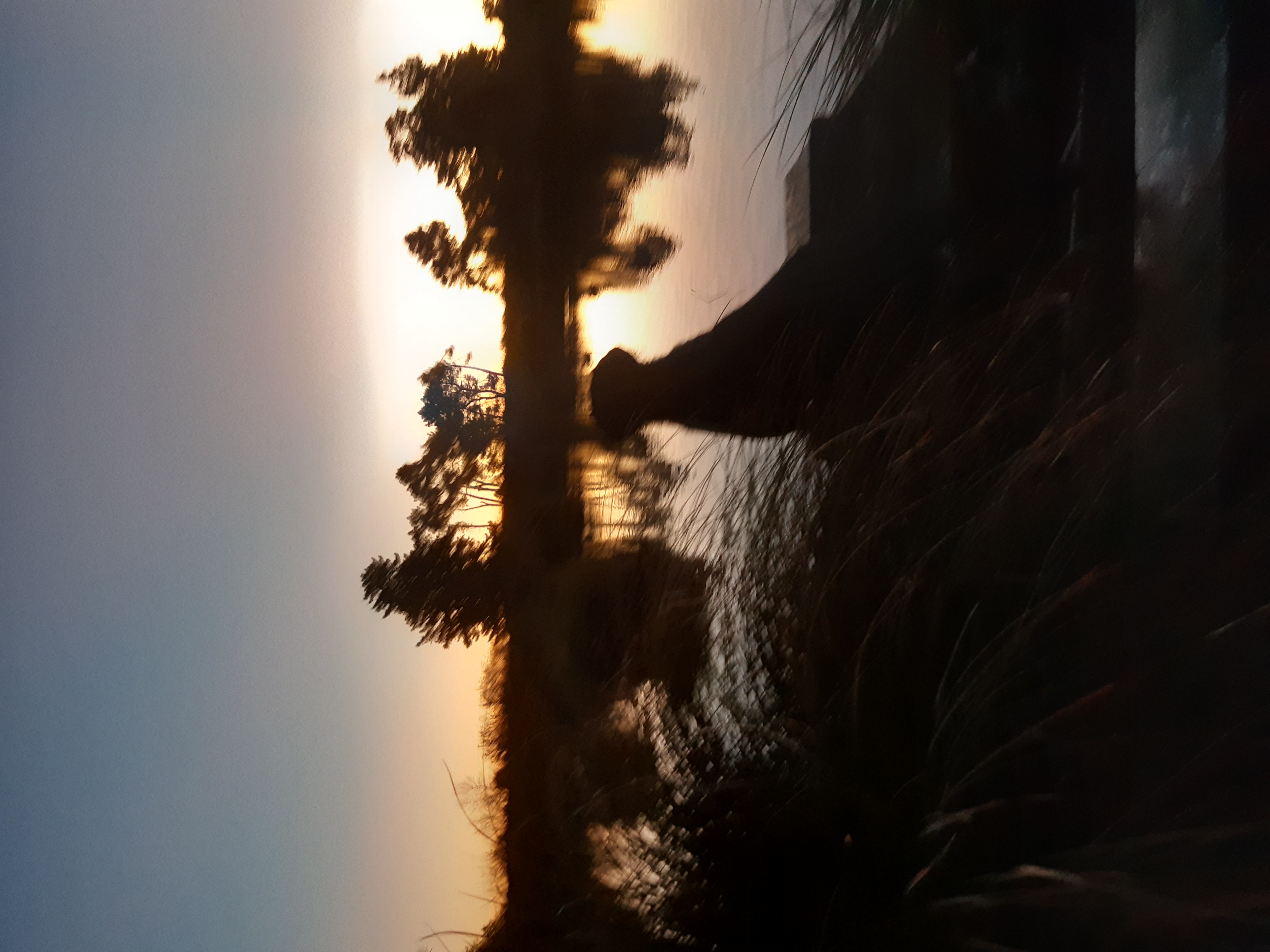 Name:  20210515_173706.jpg
Views: 289
Size:  2.95 MB