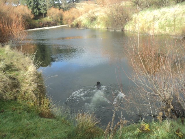Name:  picture 01 3505.jpg
Views: 451
Size:  164.9 KB