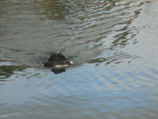 Name:  picture 01 3507.jpg
Views: 275
Size:  161.0 KB