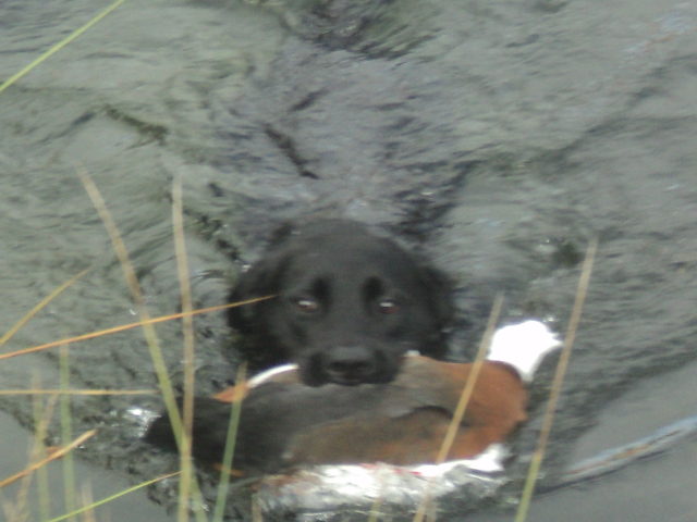 Name:  picture 01 3509.jpg
Views: 410
Size:  163.9 KB