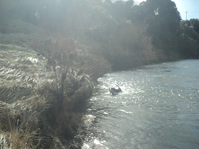 Name:  picture 01 3585.jpg
Views: 409
Size:  164.1 KB