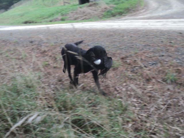 Name:  picture 01 3588.jpg
Views: 447
Size:  165.1 KB