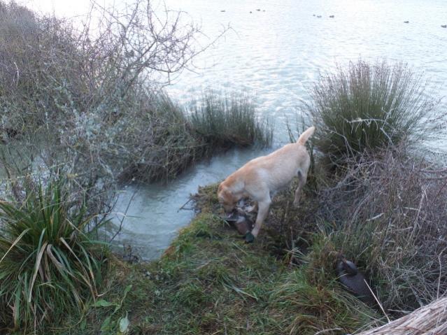 Name:  ellesmere2O12010[1].jpg
Views: 347
Size:  66.7 KB