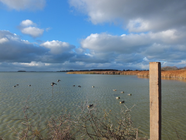 Name:  ellesmere2O12013[1].jpg
Views: 368
Size:  94.1 KB