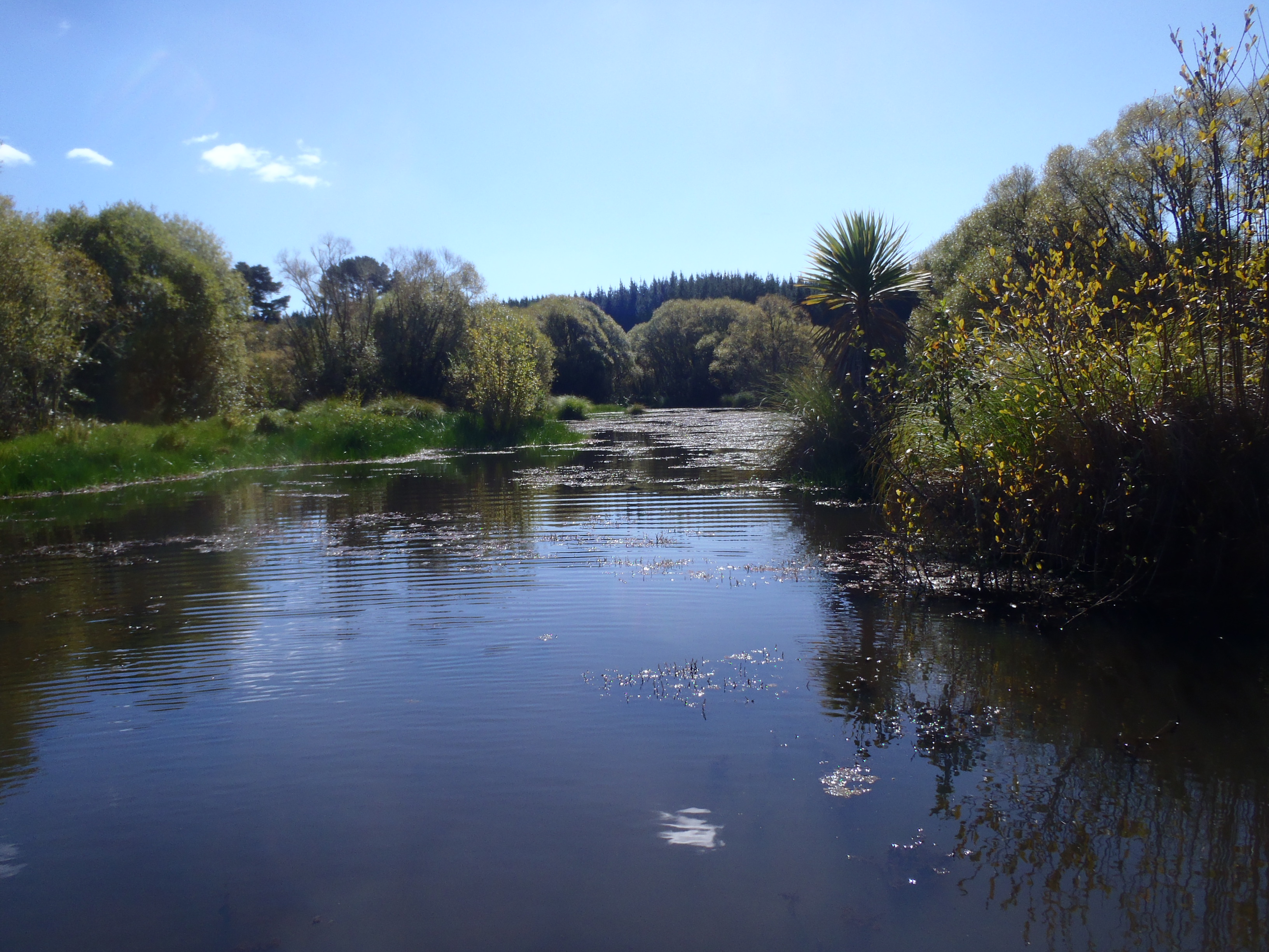 Name:  DuckShooting 2021 2021-04-03 002.JPG
Views: 394
Size:  1.76 MB