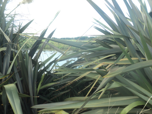 Name:  picture 01 5154.jpg
Views: 156
Size:  163.4 KB