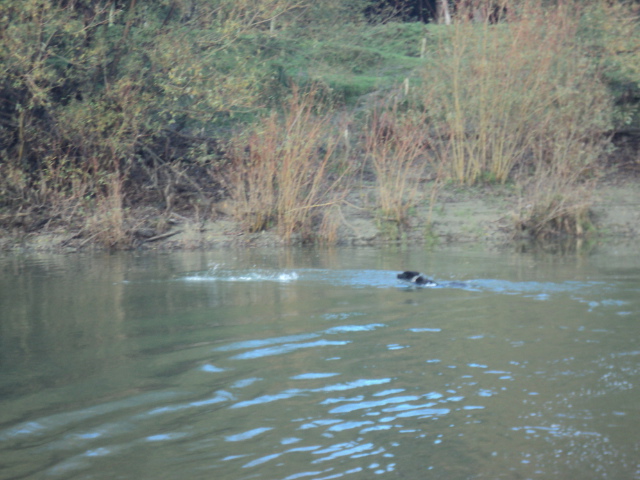 Name:  picture 01 5377.jpg
Views: 497
Size:  163.1 KB