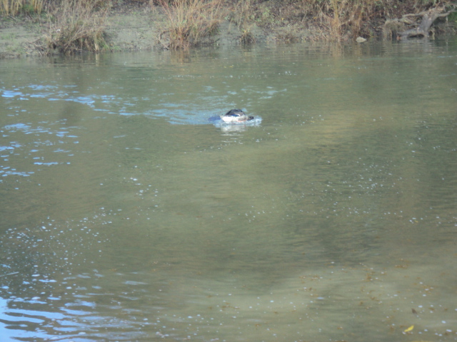 Name:  picture 01 5378.jpg
Views: 523
Size:  163.0 KB