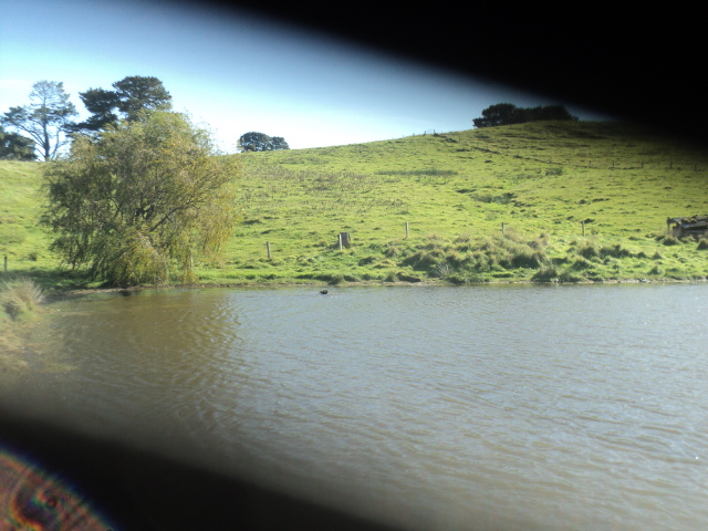 Name:  picture 01 5388.jpg
Views: 433
Size:  164.9 KB