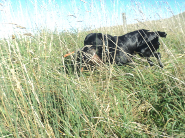 Name:  picture 01 5389.jpg
Views: 419
Size:  163.1 KB