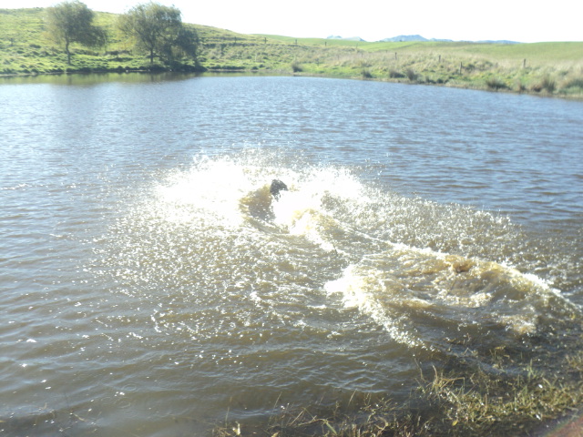 Name:  picture 01 5392.jpg
Views: 434
Size:  163.7 KB