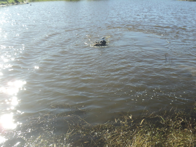 Name:  picture 01 5393.jpg
Views: 431
Size:  164.7 KB