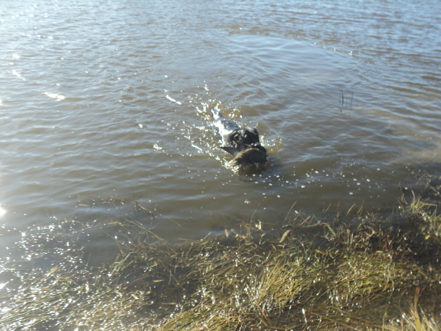 Name:  picture 01 5394.jpg
Views: 426
Size:  164.6 KB