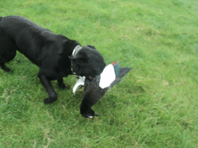 Name:  picture 01 5404.jpg
Views: 342
Size:  165.3 KB