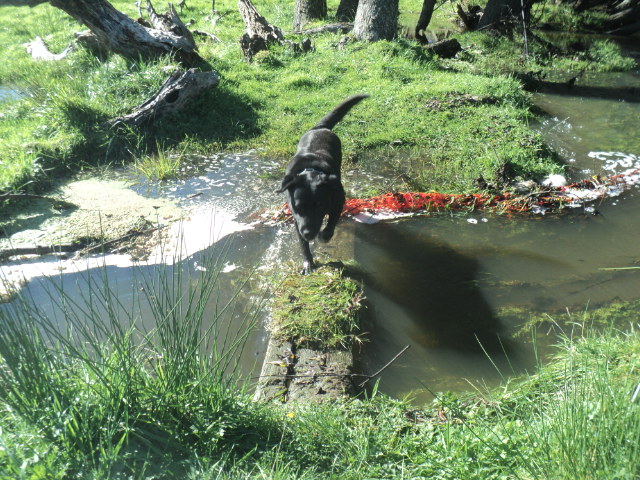 Name:  picture 01 5426.jpg
Views: 291
Size:  165.2 KB