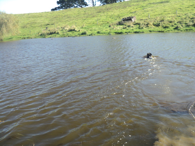 Name:  picture 01 5427.jpg
Views: 291
Size:  163.0 KB