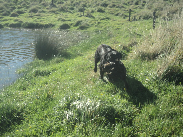 Name:  picture 01 5428.jpg
Views: 295
Size:  164.3 KB