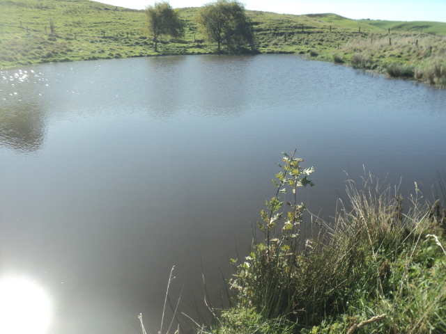 Name:  picture 01 5431.jpg
Views: 290
Size:  163.8 KB