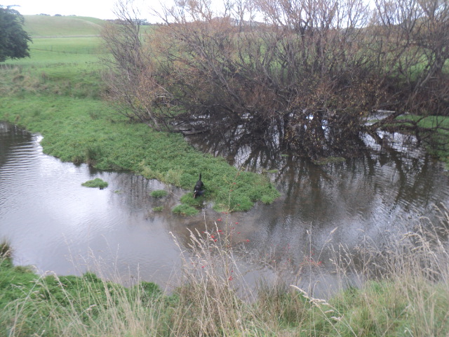 Name:  picture 01 5450.jpg
Views: 252
Size:  165.3 KB