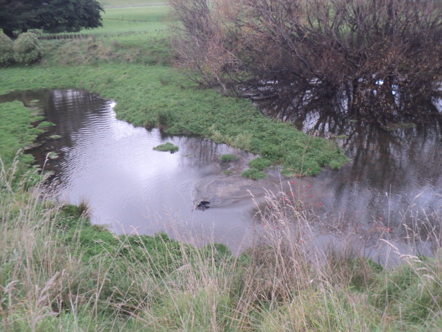 Name:  picture 01 5451.jpg
Views: 250
Size:  165.2 KB