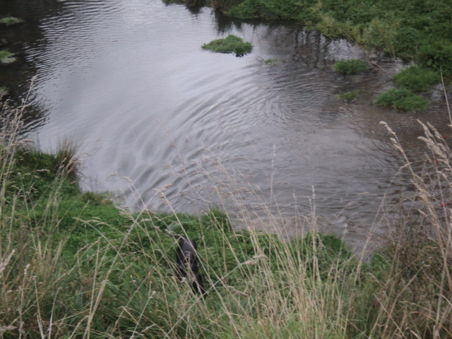 Name:  picture 01 5452.jpg
Views: 258
Size:  164.2 KB
