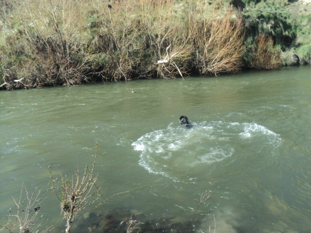 Name:  picture 01 5461.jpg
Views: 217
Size:  164.4 KB