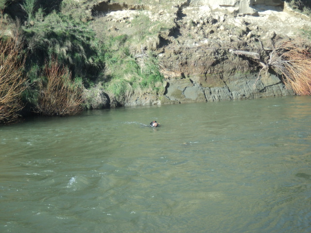 Name:  picture 01 5462.jpg
Views: 214
Size:  165.1 KB