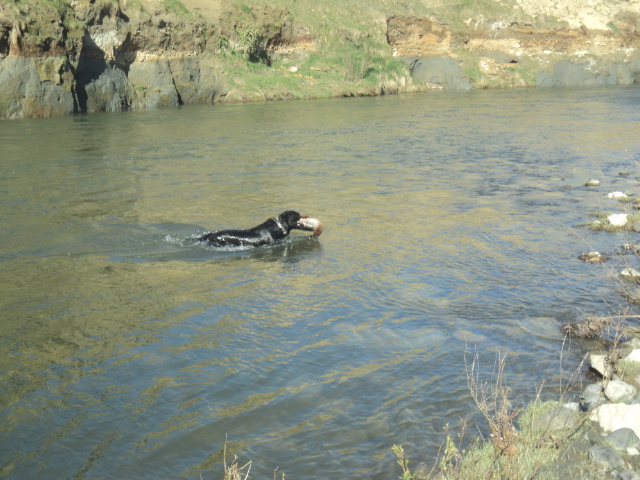 Name:  picture 01 5463.jpg
Views: 214
Size:  164.8 KB