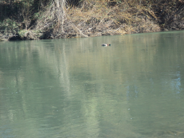 Name:  picture 01 5485.jpg
Views: 373
Size:  164.0 KB