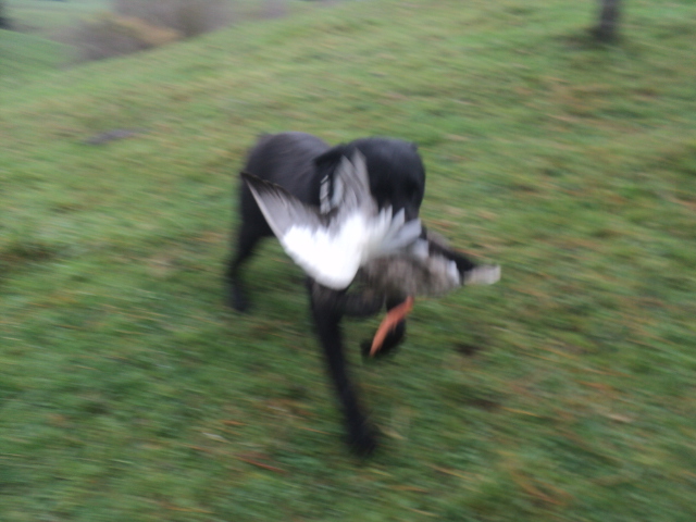 Name:  picture 01 5487.jpg
Views: 348
Size:  165.0 KB