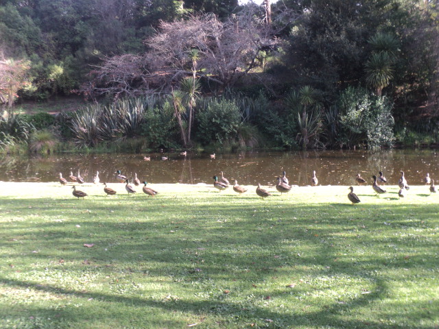 Name:  picture 01 5492.jpg
Views: 326
Size:  164.4 KB