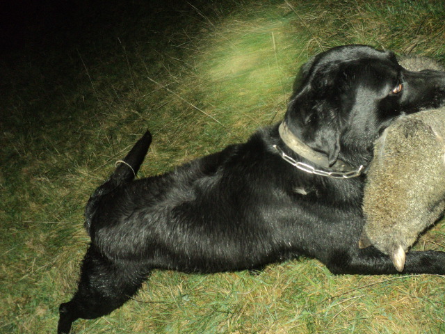 Name:  picture 01 5517.jpg
Views: 298
Size:  162.5 KB