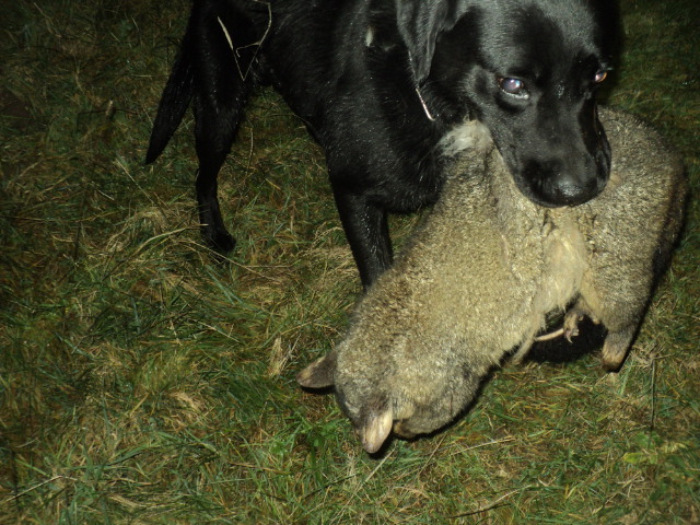 Name:  picture 01 5518.jpg
Views: 296
Size:  164.6 KB