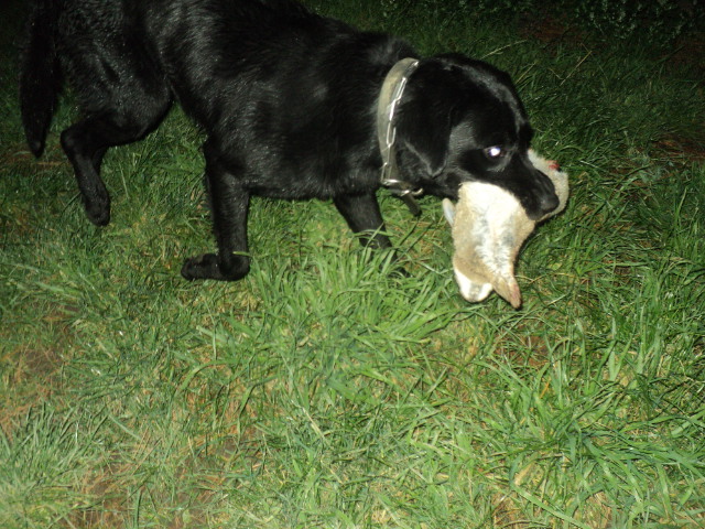 Name:  picture 01 5519.jpg
Views: 299
Size:  164.0 KB