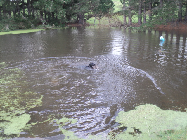 Name:  picture 01 5599.jpg
Views: 212
Size:  165.2 KB