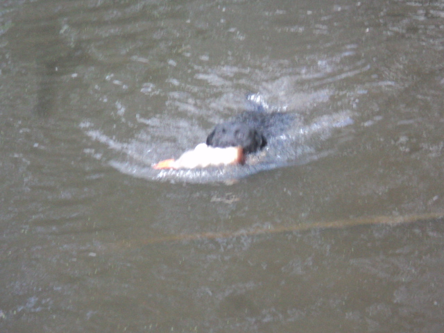 Name:  picture 01 5602.jpg
Views: 215
Size:  160.9 KB