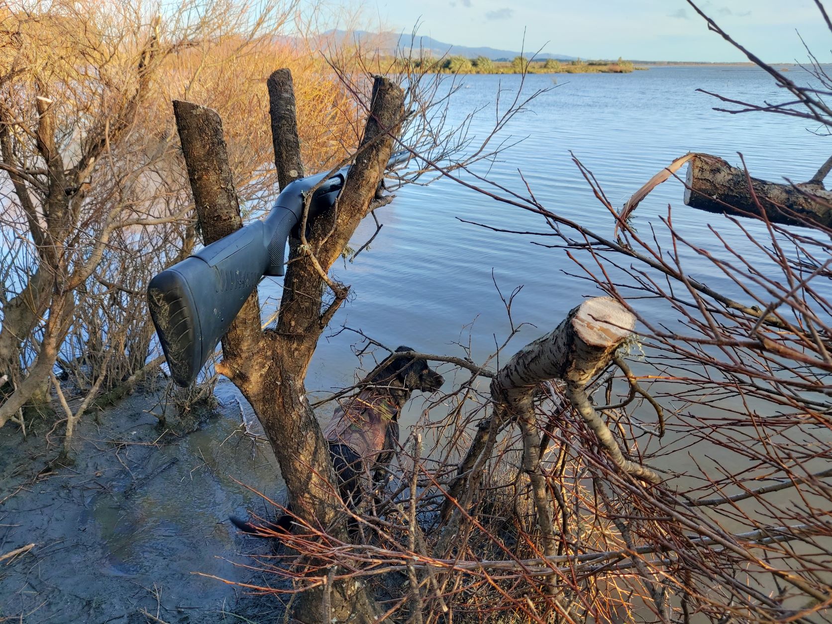 Name:  duck season close - Copy.jpg
Views: 385
Size:  570.3 KB
